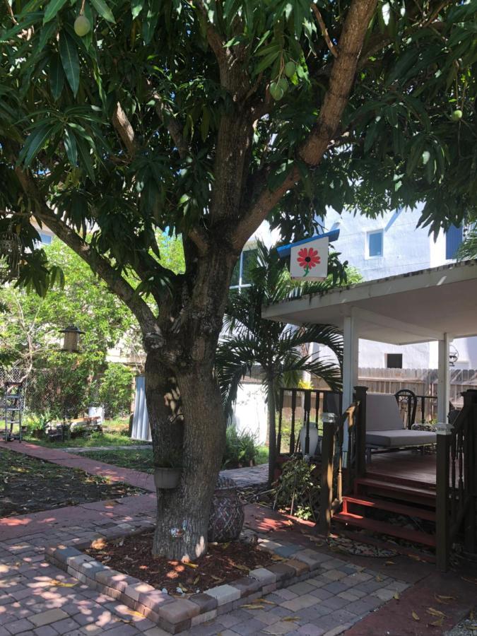 Private Suite Next To Calle Ocho Miami Esterno foto